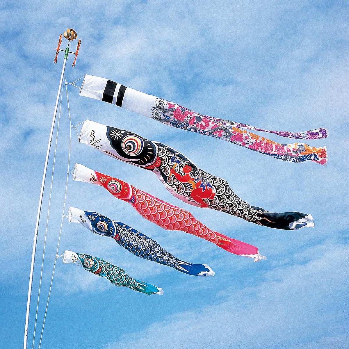 鯉のぼり 大型 ポール別売り 庭用 矢車 ロープ 吹流し 鯉4匹 ナイロン 送料無料 スパークル金太郎鯉 ガーデン 家紋 名入れ対応 別料金 ポール別売り こいのぼり 庭園 こいのぼり 庭用 5m 7点 矢車 ロープ 吹流し 鯉4匹 大型 ポール別売り ダイヤ鯉 Kod