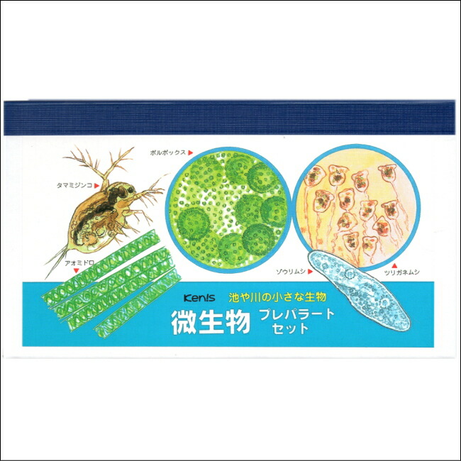 プレパラランド3種類セット 花粉 植物 微生物 学校教材ネットショップ夏休み冬休みの自由研究に プレパラランド3種類セット 花粉 植物 微生物 学校教材ネットショップ夏休み冬休みの自由研究に