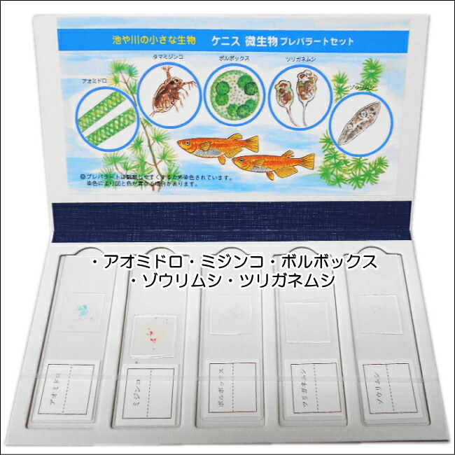 プレパラランド3種類セット 花粉 植物 微生物 学校教材ネットショップ夏休み冬休みの自由研究に プレパラランド3種類セット 花粉 植物 微生物 学校教材ネットショップ夏休み冬休みの自由研究に