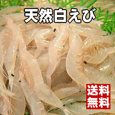 【富山湾の宝石】ほのかな塩味と濃厚な甘味のある極上白えび[送料無料]