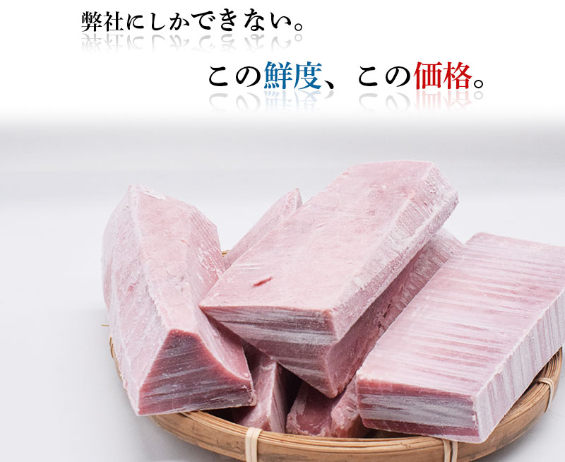 キハダマグロ今だけポイント10倍