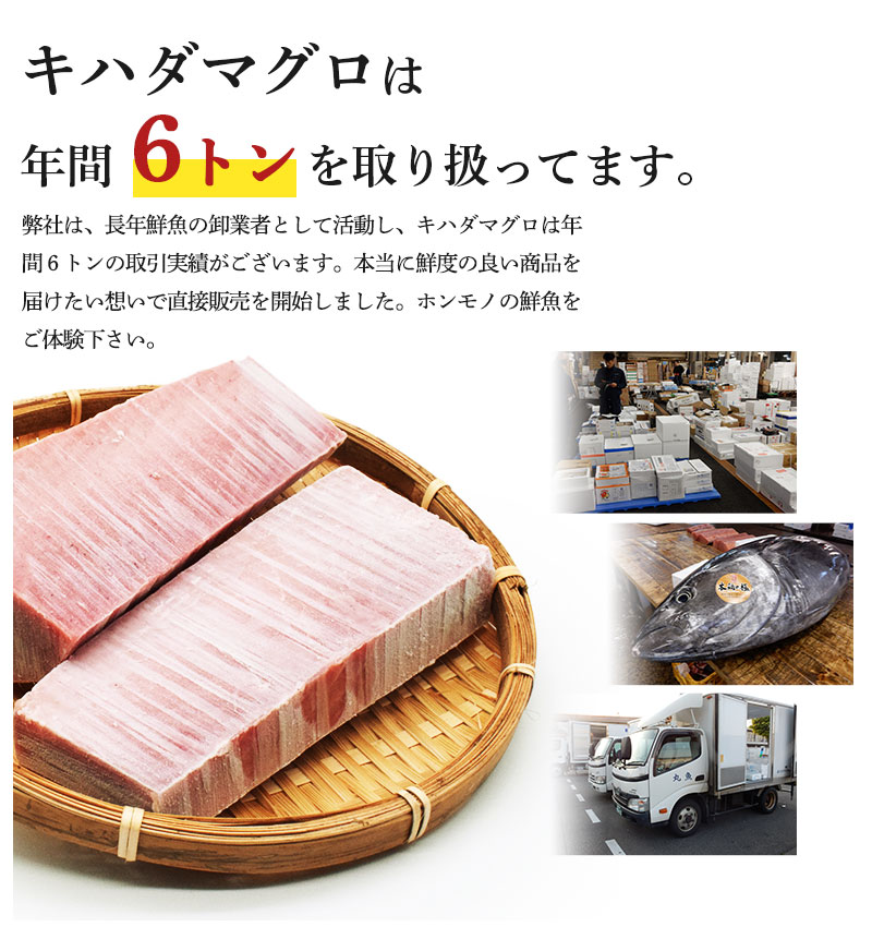 キハダマグロ今だけポイント10倍