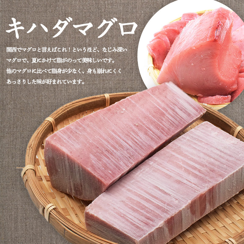 キハダマグロ今だけポイント10倍