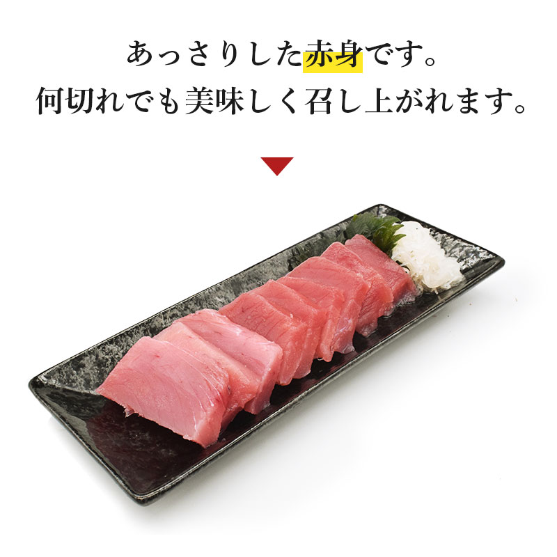 キハダマグロ今だけポイント10倍