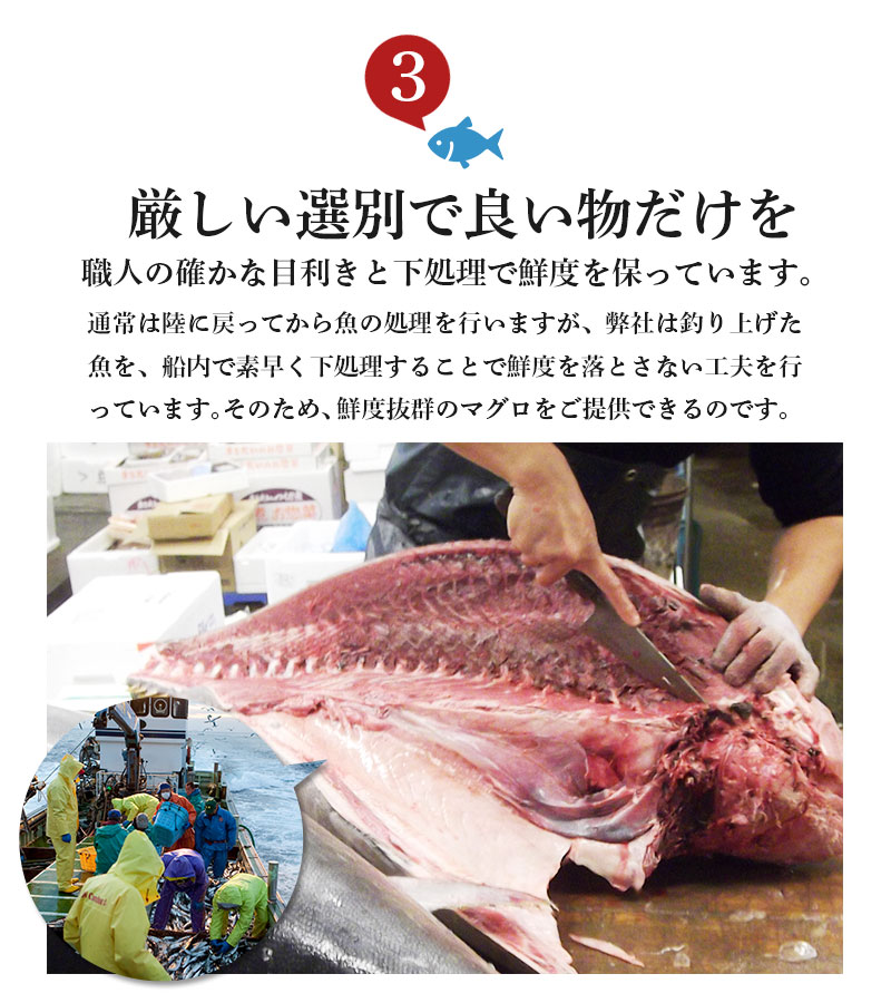 キハダマグロ今だけポイント10倍