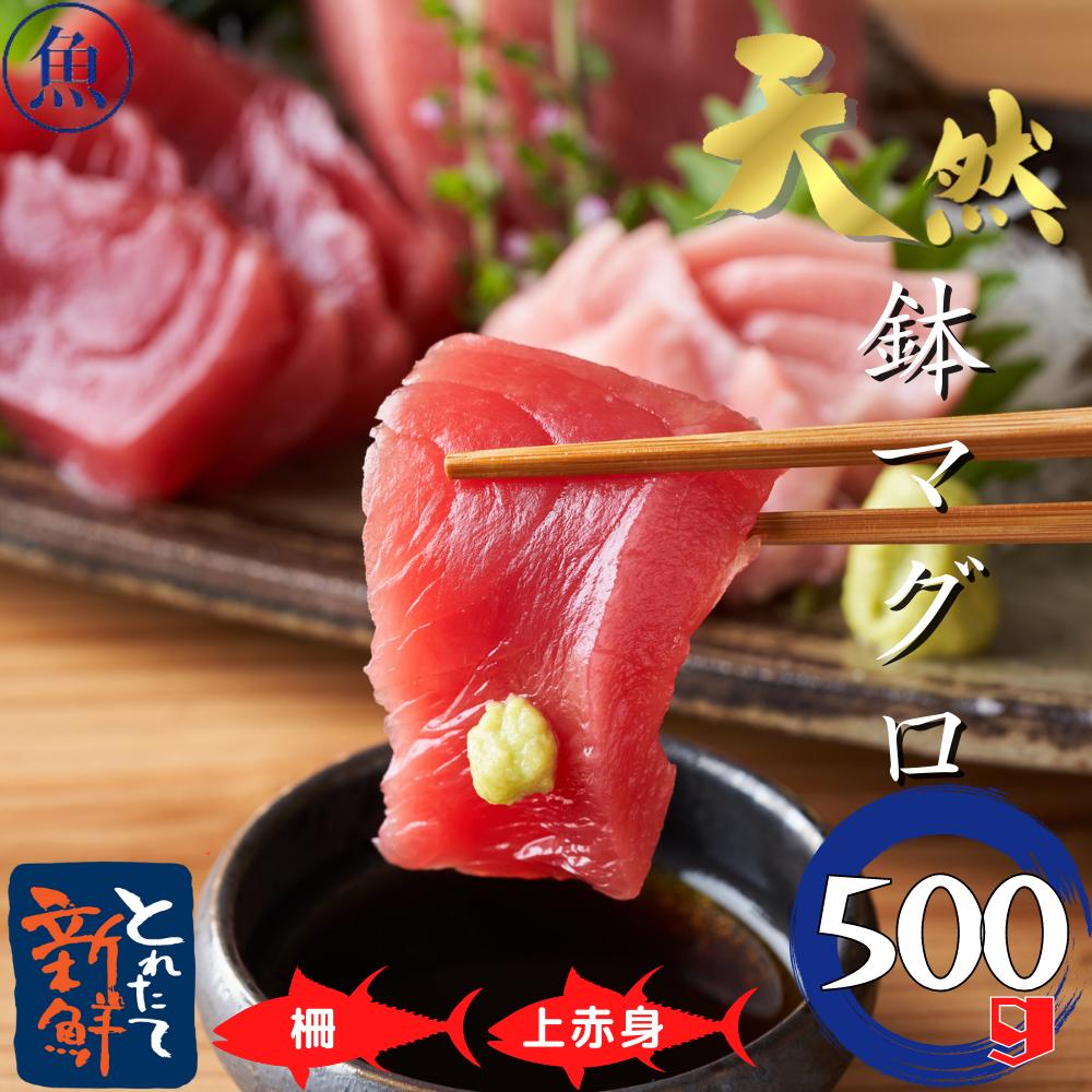 天然鉢マグロ上赤身500ｇ マグロ 赤身 刺身 メバチマグロ 海鮮 冷凍鮪 御祝 内祝 おつまみ お中元 御中元 敬老の日 誕生日 お取り寄せ 誠実