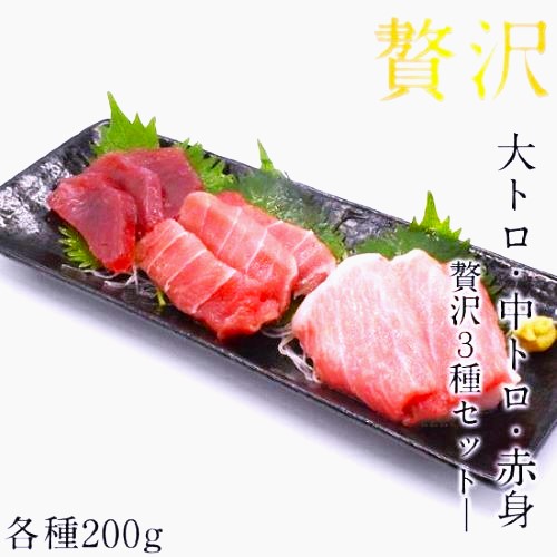 本マグロ 大トロ 中トロ 中とろ 本鮪 赤身 200ｇ 柵 合計600ｇ 3種 鮪 まぐろ 刺し身 刺身 お刺身 冷凍 マグロ トロ ブロック 詰合せ 鮮魚 セット 冷凍まぐろ 冷凍マグロ マグロ丼 本まぐろ 直送 冷凍 魚 切り身 おかず 海鮮丼 手巻き寿司 お取り寄せ 取り寄せ グルメ