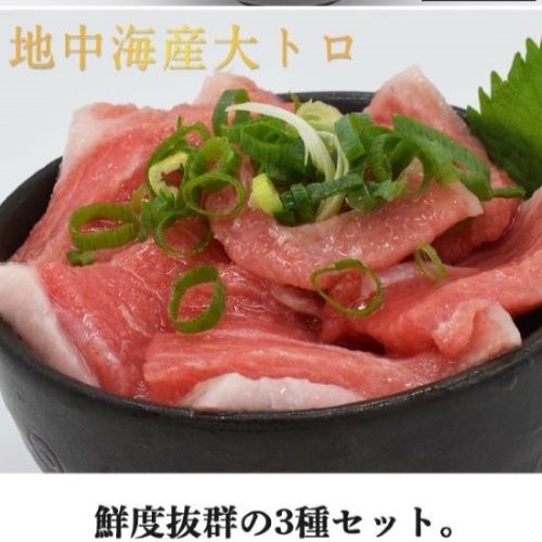 本マグロ 本まぐろ 大トロ 柵 3柵入り 500ｇ 鮮魚 詰合せ 鮮魚セット 冷凍まぐろ 冷凍マグロ マグロ まぐろ 鮪 直送 冷凍 まぐろ刺身 魚 切り身 骨抜き 骨なし 刺身 さしみ お刺身 海鮮 海鮮丼 海鮮丼の具 手巻き寿司 ネタ グルメ お取り寄せ お取り寄せグルメ 送料無料