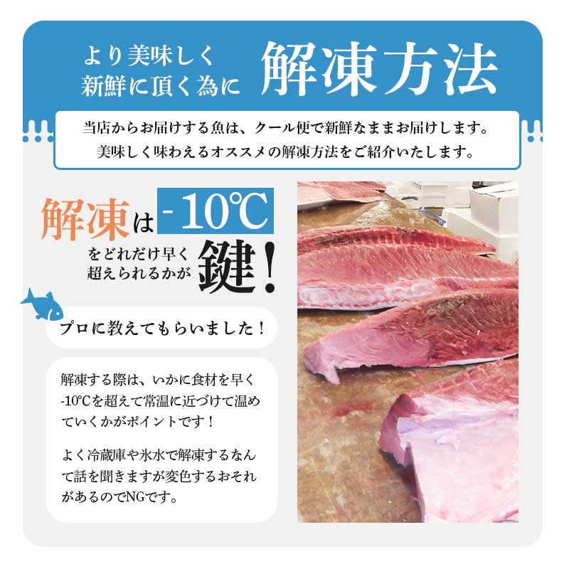 キハダマグロ今だけポイント10倍
