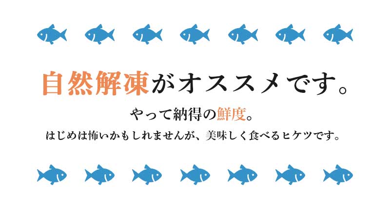 キハダマグロ今だけポイント10倍