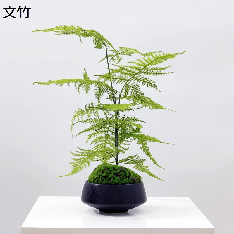 文竹 フェイクグリーン 盆栽 人工苔 お花申し合わせ 鉢植え 室内装飾 卓上 人工観葉草木 柔らかいな葉 バス発着場用 泊まり 喫茶店 耐退色 勉強机いの一番 お部屋 リビング お開店お祝い 新やって行く 枯れない 観葉植物-花・観葉植物-花・ガーデン・DIY