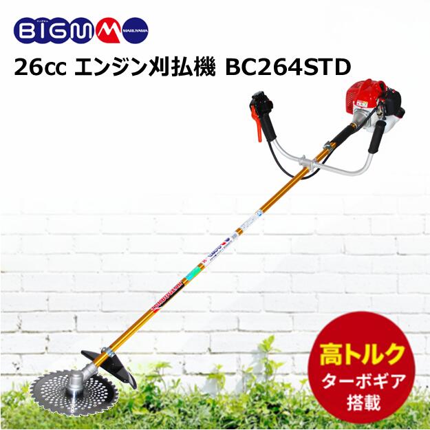 imgrc0113116710.jpg