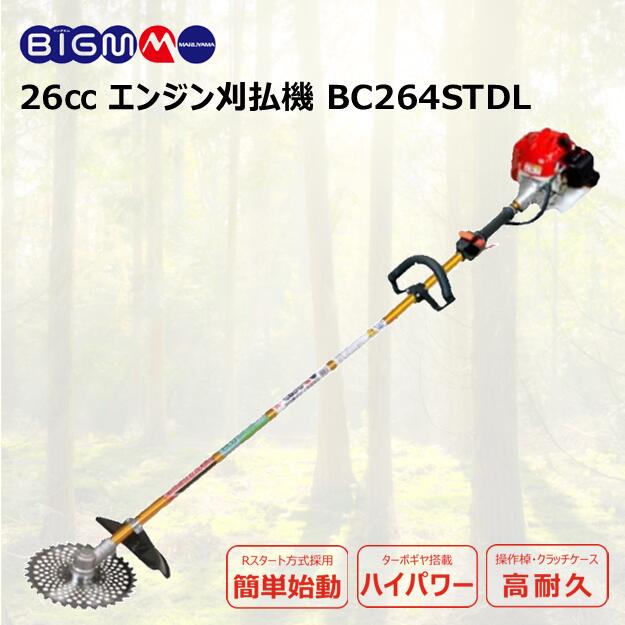 imgrc0111563118.jpg