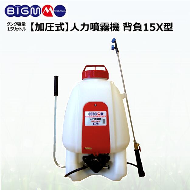 楽天市場】【1/25〜2/25開催！当選確率1/2☆最大100%P還元！要