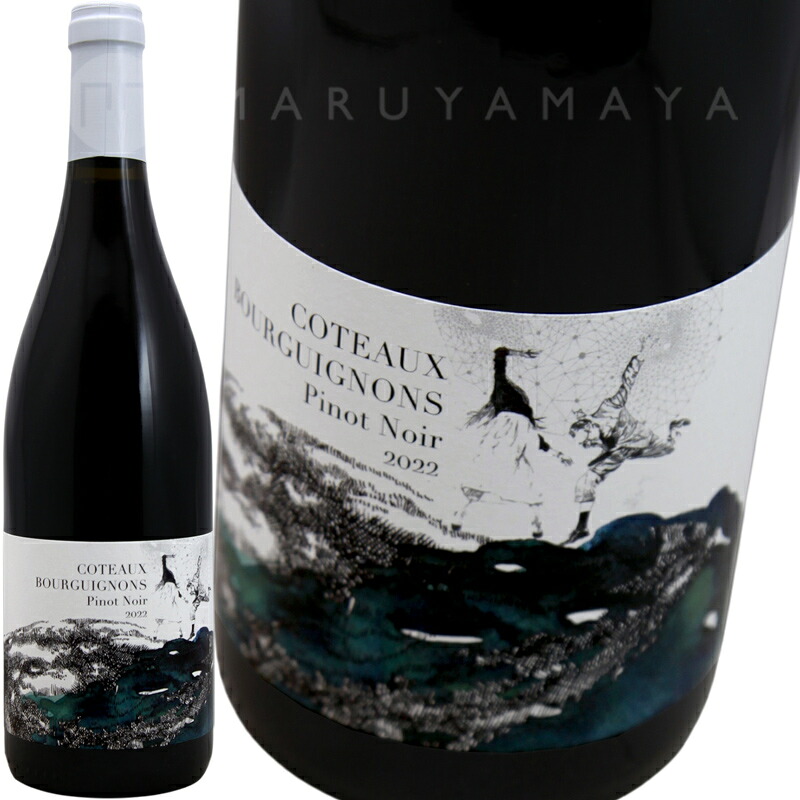 コトー・ブルギニョン・ピノ・ノワール [2022] ナイマ・エ・ダヴィド・ディドン Naima et David Didon Coteaux Bourguignons Pinot Noir