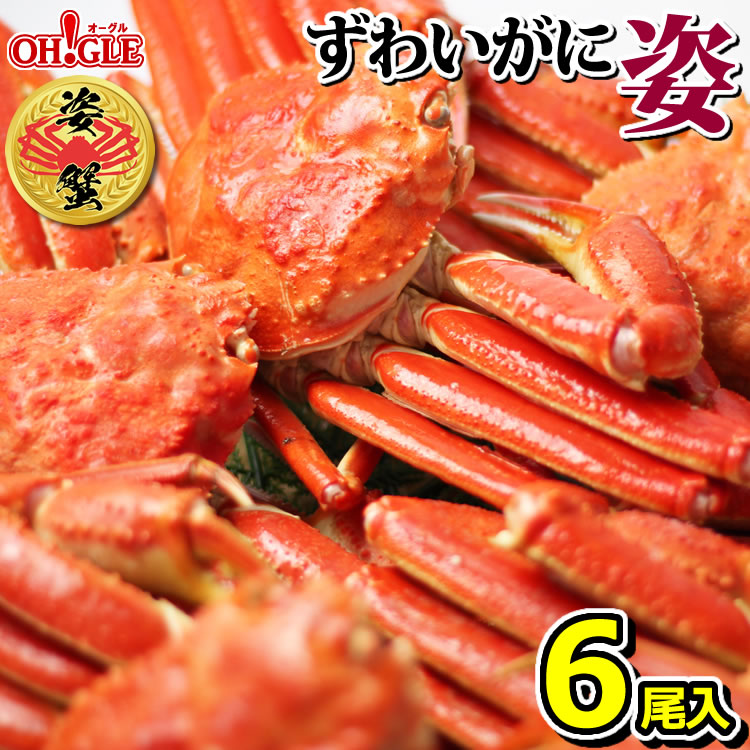 楽天市場】カニ 《特選バルダイ種》 特大 ずわいがに 脚 3kg （特大サイズ）【送料無料】 3キロ ズワイガニ 蟹 かに ズワイ蟹 脚 ボイル  ギフト 内祝 御礼 お誕生日祝 のし 熨斗 : カニ缶詰の OH！GLE（オーグル）