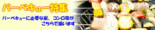 楽天市場】七輪 【オガ備長炭プレゼント】送料無料 七輪 (しちりん) 角型ワイド 卓上 角形 長角 角 珪藻土 焼鳥 焼肉 餅焼き バーベキューコンロ  BBQコンロ 室内 卓上 おしゃれ 自宅 煙が少ない(日の丸燃料) bbqグリル キャンプ ソロキャンプ 小型 アウトドア キャンプ ...