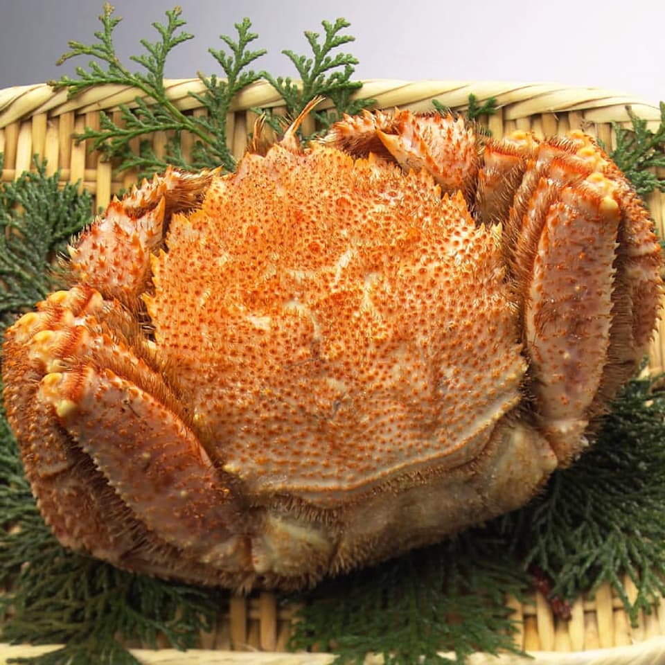 お歳暮 カニ 北海道産 毛ガニ 約500g 4尾 ボイル済 毛がに 身入り抜群 茹で済 カニ味噌 毛蟹 超人気の Fizijatrikiestetik Rs