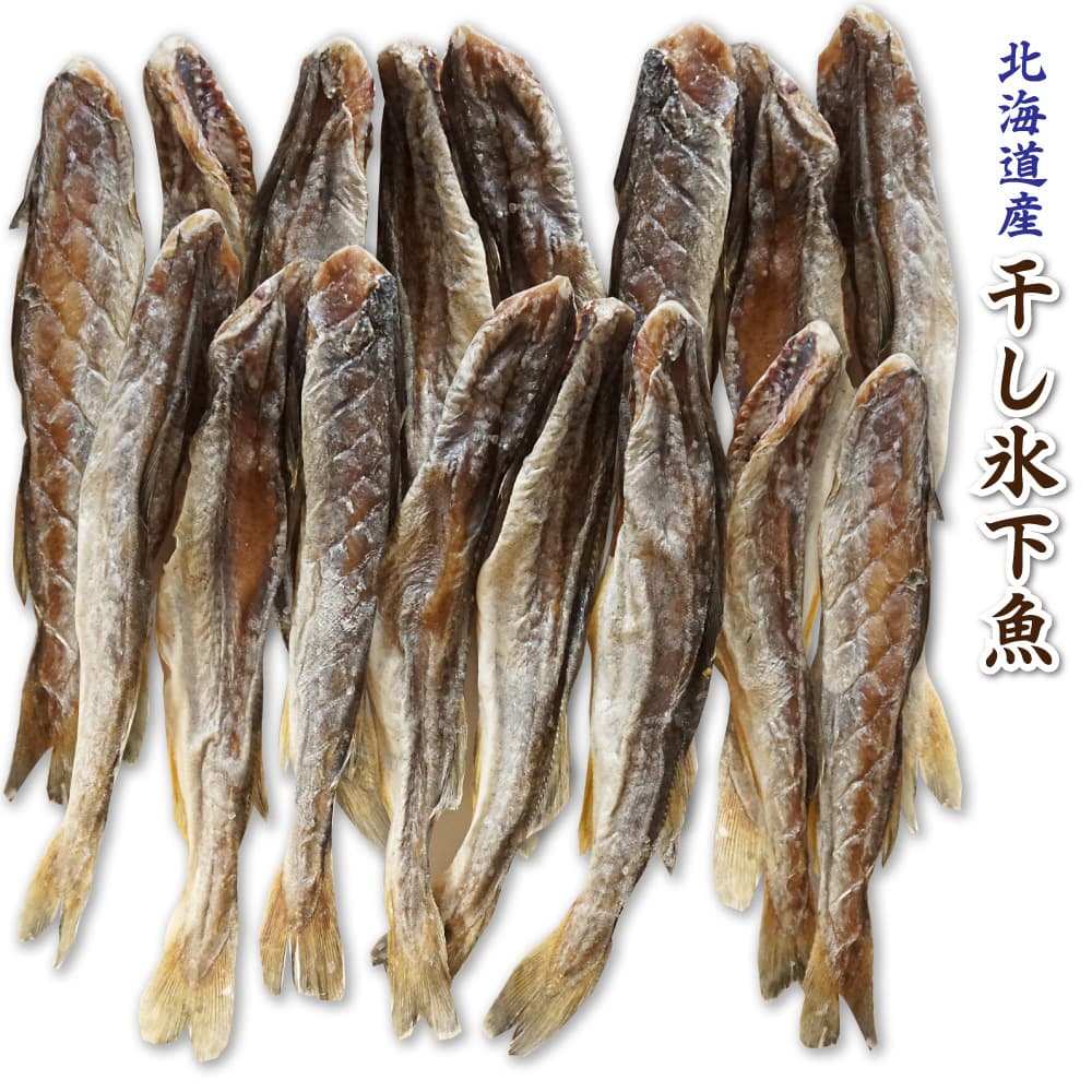 楽天市場 干し 姫こまい まるかじり 130g 小さな 氷下魚 全て 食べられる コマイ おつまみ 珍味 北海道産 カンカイ 函館マルユウ漁業部 楽天市場店