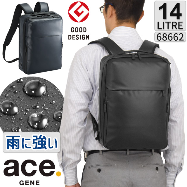 acegene_68662_1.jpg