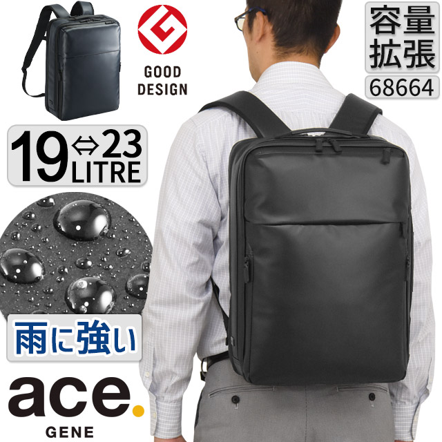試し出品 acegene_68664_1.jpg
