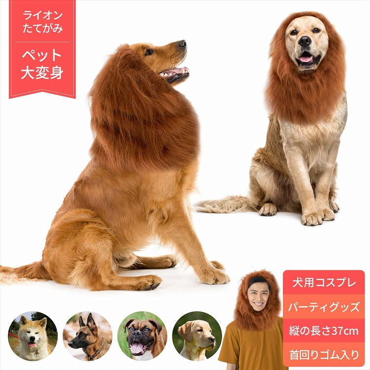 楽天市場 在庫処分 ライオン たてがみ 犬用 コスチューム ドッグウェア 冬 人間 人間用 コスプレ かぶりもの ネックウォーマー ペット 服 衣装 忘年会 新年会 パーティーグッズ かわいい 大型犬 中型犬 ファー ウィッグ 送料無料 雑貨マニアmarz