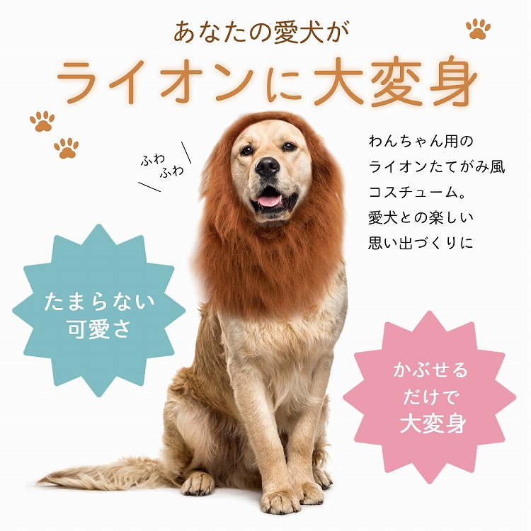 楽天市場 在庫処分 ライオン たてがみ 犬用 コスチューム ドッグウェア 冬 人間 人間用 コスプレ かぶりもの ネックウォーマー ペット 服 衣装 忘年会 新年会 パーティーグッズ かわいい 大型犬 中型犬 ファー ウィッグ 送料無料 雑貨マニアmarz