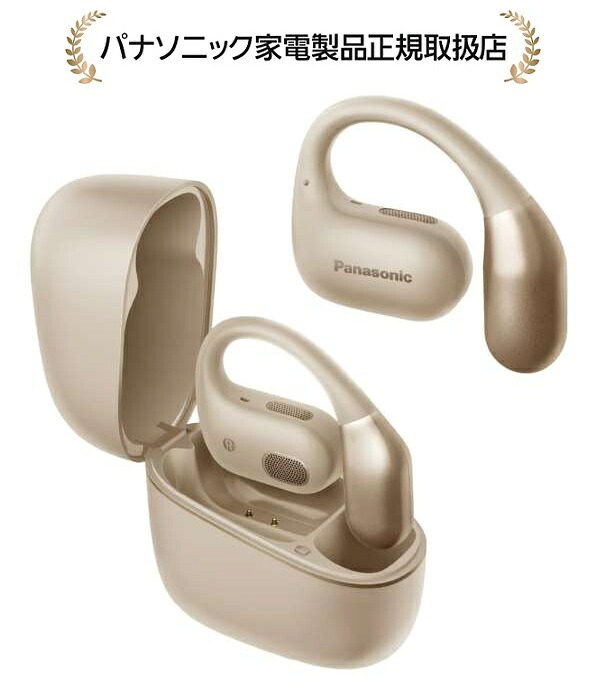 パナソニックRB-F10D-C Technics完全ワイヤレスイヤホンRBF10DC