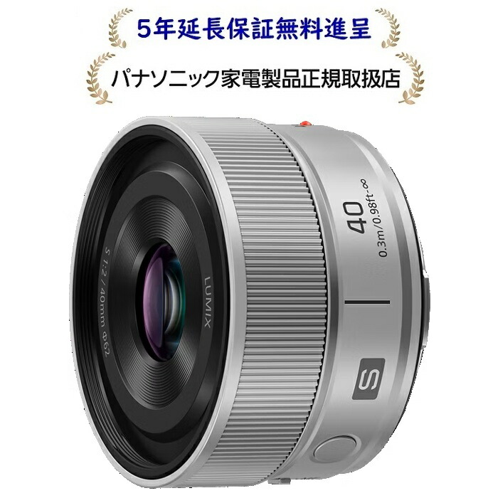 パナソニック S-S40-S[5年取りひろげる引きうける無料呉れて遣る]デジタル一眼写真機用取り替えっこ水晶体S-S40-S