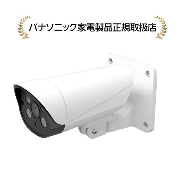 Bris様　　VL-CA10X 防犯カメラ 2台セット　新品未使用 Panasonic 【在庫あり・無料保証付】屋外レコーディングカメラ