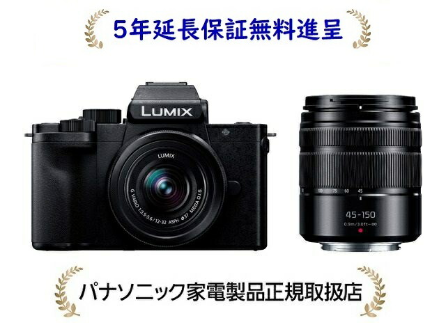 Panasonic　LUMIX DC-G100D ボディ Panasonic LUMIX G100D ボディ DC-G100D 中古 C2120197648835