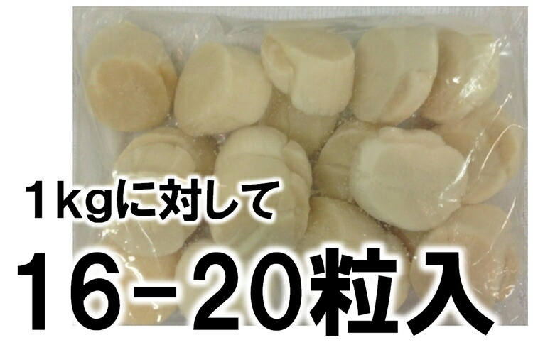 ホタテ ほたて 帆立 ホタテ内転筋 北海道作成 飾り物箱序開き お刺身狙い 1kg 16 真珠状入 超特大号 2 サイズ 送料無料 到来物 Cannes Encheres Com