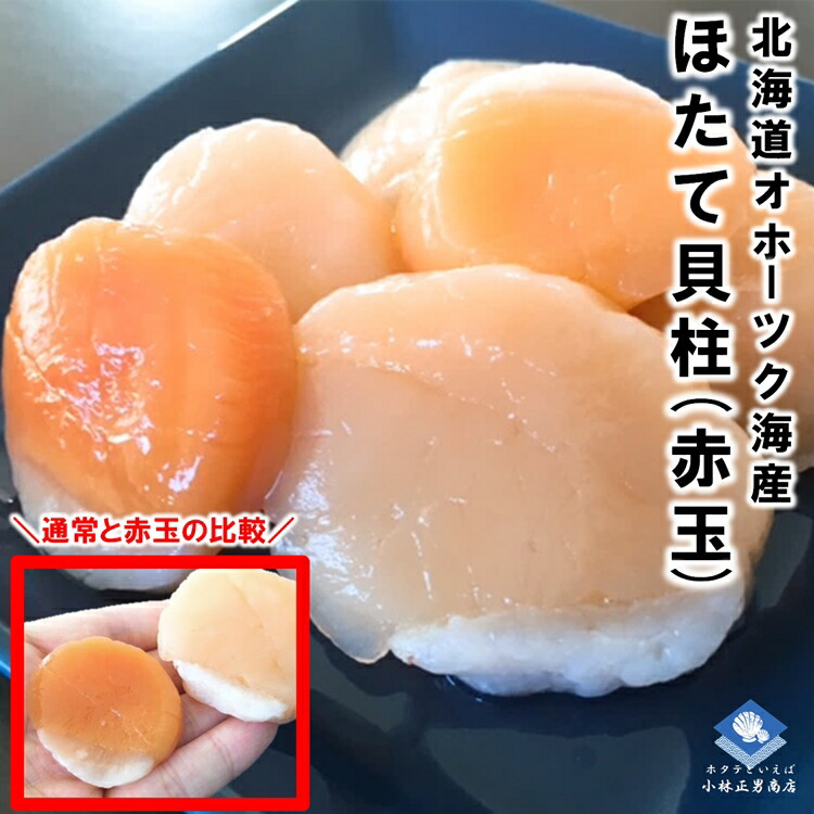 ホタテ ほたて 帆立 北海道オホーツク海産 冷凍ホタテ貝柱 赤玉 1kg お刺身用 送料無料 ギフト お取り寄せ お歳暮 母の日 hahanohi