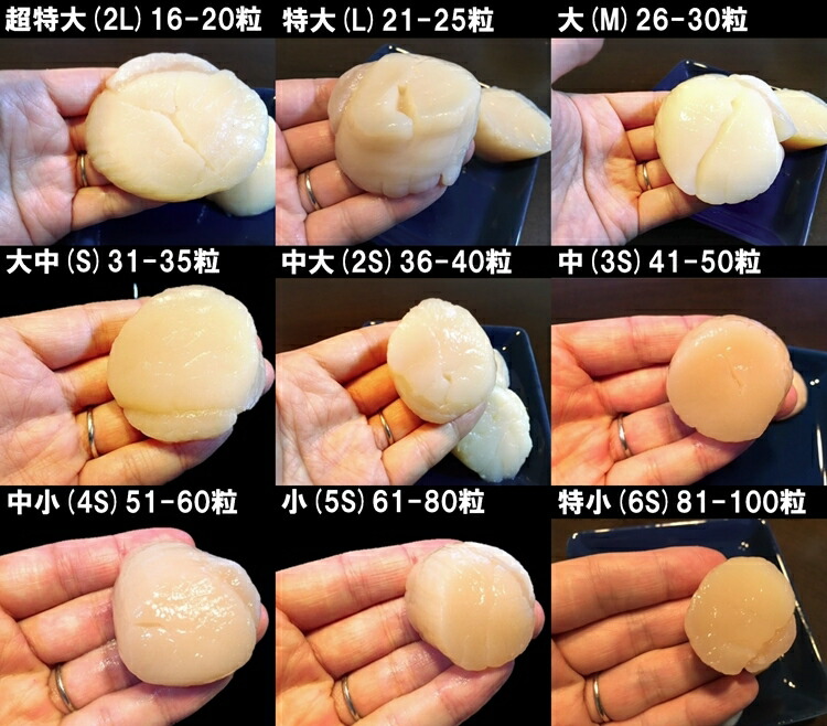 ホタテ ほたて 帆立 ホタテ内転筋 北海道分娩 綾なす財宝り口 お刺身入用 1kg 21 25真珠状入 特大サイズ サイズ 送料無料 手土産 Restaurant Valentino De