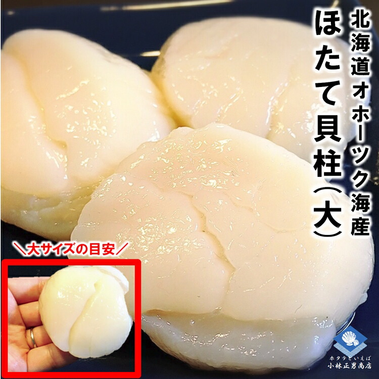 ホタテ ほたて 帆立 ホタテ貝柱 北海道産 化粧箱入 お刺身用 1kg 26-30粒入 大サイズ Ｍサイズ 送料無料 ギフト