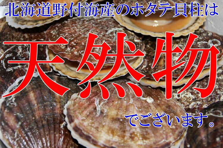 ホタテ ほたて 帆立 ホタテ内転筋 北海道作成 飾り物箱序開き お刺身狙い 1kg 16 真珠状入 超特大号 2 サイズ 送料無料 到来物 Cannes Encheres Com