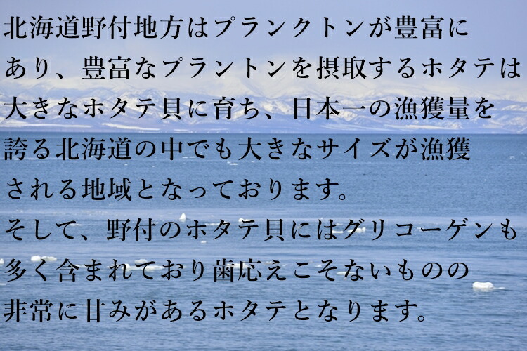 ホタテ ほたて 帆立 ホタテ内転筋 北海道作成 飾り物箱序開き お刺身狙い 1kg 16 真珠状入 超特大号 2 サイズ 送料無料 到来物 Cannes Encheres Com