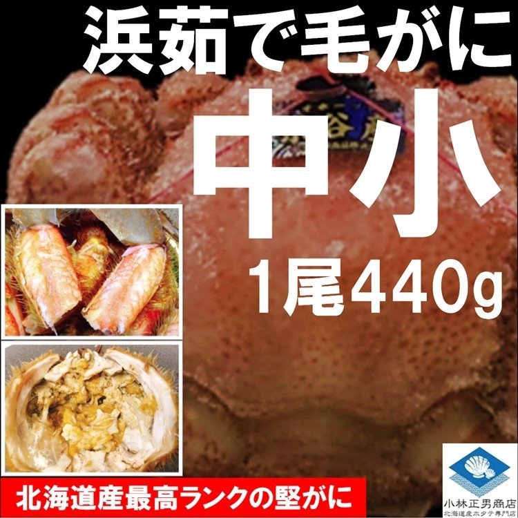 楽天市場】毛ガニ 毛がに 毛蟹 北海道産 浜茹で毛ガニ １杯約800g 2杯入 超特大サイズ 最上級品 堅ガニ ギフト : 北海道産 ホタテ専門店小林正男商店