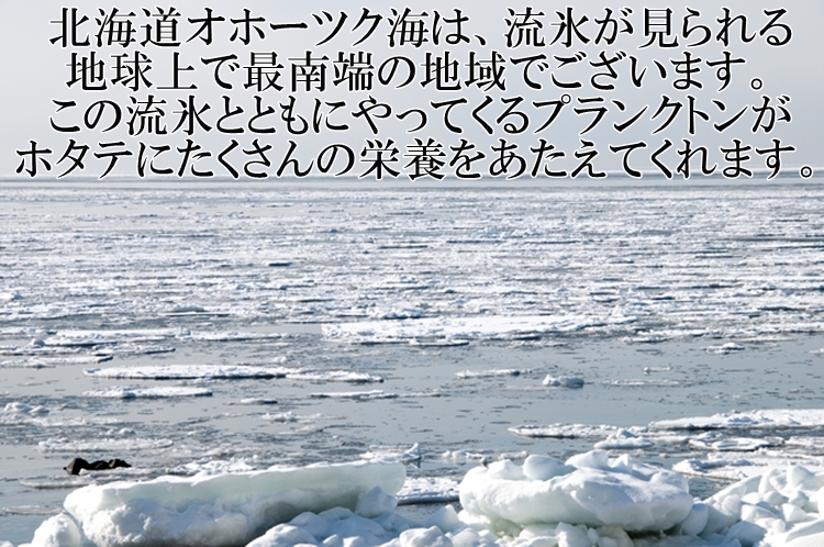 定番のお歳暮 ホタテ ほたて 帆立 ホタテ貝柱 北海道産 化粧箱入 お刺身用 1kg 10パック入り 1kgに51-60粒入 4Sサイズ 条件付き送料無料  ギフト fucoa.cl