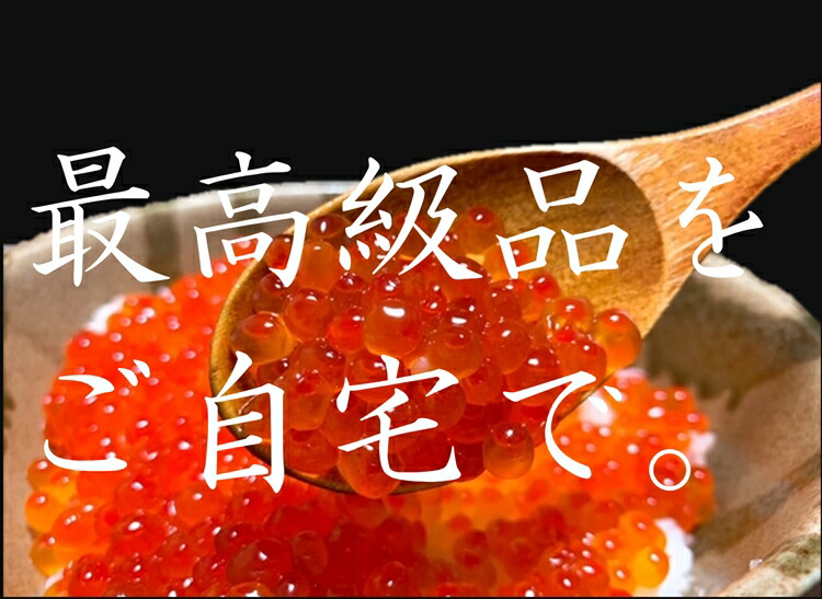 海外 いくら イクラ いくら醤油漬け 500g×2 計1.0kg 北海道産 秋鮭 最高級品 箱付き ギフト 送料無料 qdtek.vn