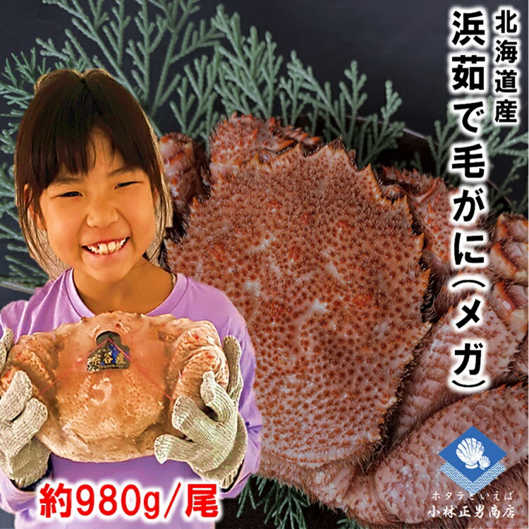 楽天市場】ホタテ ほたて 帆立 ホタテ貝柱 北海道産 化粧箱入 お