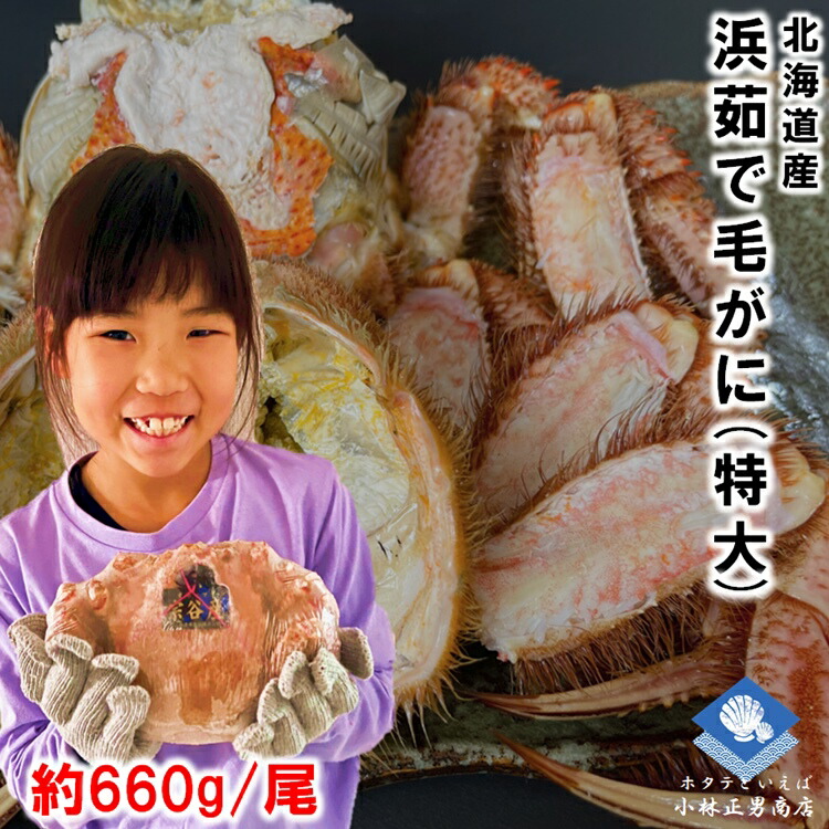 【2025年新物入荷】毛ガニ 毛がに 毛蟹 北海道産 浜茹で毛ガニ １杯約660g 特大サイズ 最上級品 堅ガニ ギフト 2024年物 父の日 titinohi