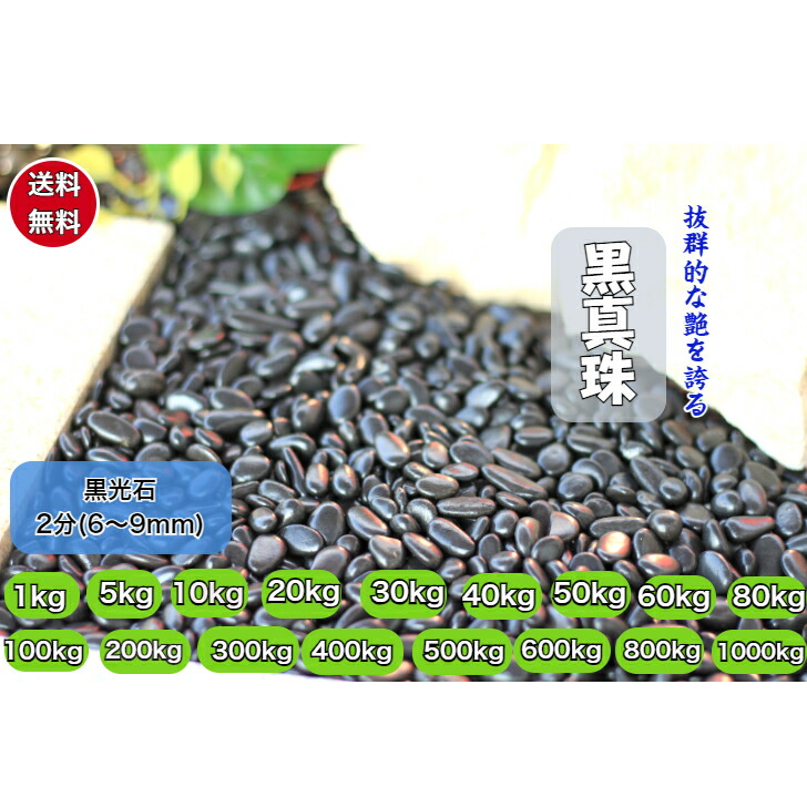 黒玉石 庭石 2分(6～9ｍｍ) 庭園最高級 (黒真珠)　黒玉砂利 磨き 光沢 砂利 庭 黒玉石 砂利石 高級 黒玉砂利 黒玉 那智黒石風 玉石｜正宇ストーン