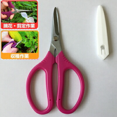 はなばさみ 楽天市場】みきかじや村 芽切鋏 生花用 サクラ色 TS140【園芸