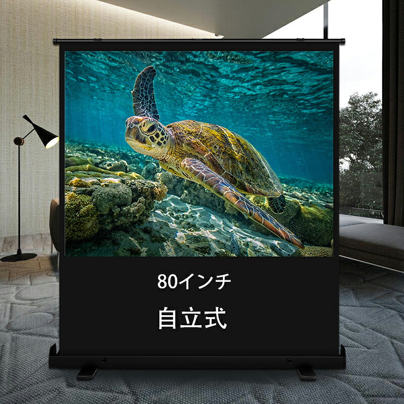 Projector screen, freestanding storage, convenient, pantograph, online conference, theater, watching sports, large