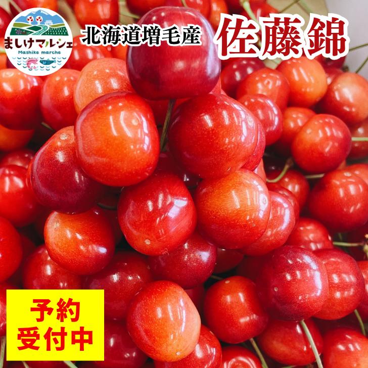 【7月から順次発送】佐藤錦 さくらんぼ 1kg 500g×2入 予約受付中 北海道産 増毛産  Lサイズ 2Lサイズ チェリー