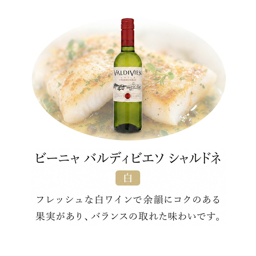 ビーニャ バルディビエソ シャルドネ