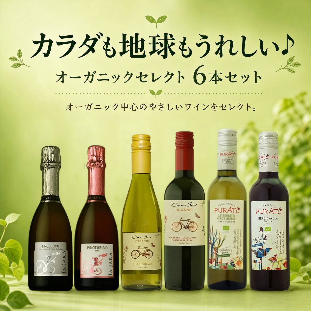 カラダも地球もうれしい♪ オーガニックワイン セレクト 6本セット