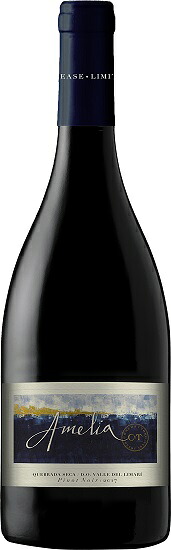 コンチャ イ トロ アメリア ピノ ノワール [2021] 750ml 赤　Amelia Pinot Noir