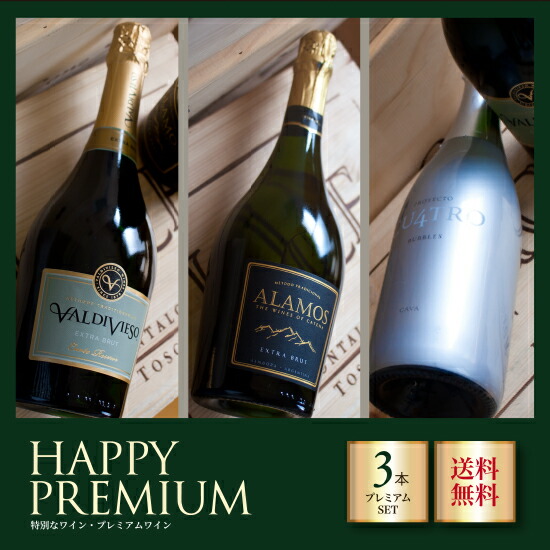 フランス　スパークリングワイン　２本セット main_og95_61mpbg_maxims_brut_d